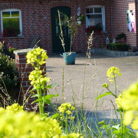 Fewo Emsland Emsbüren Buitenkant foto