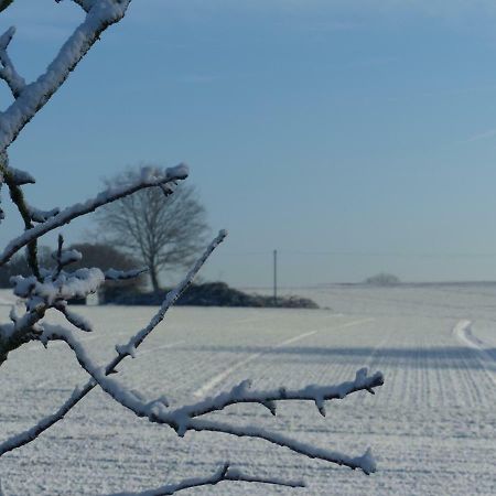 Fewo Emsland Emsbüren Buitenkant foto