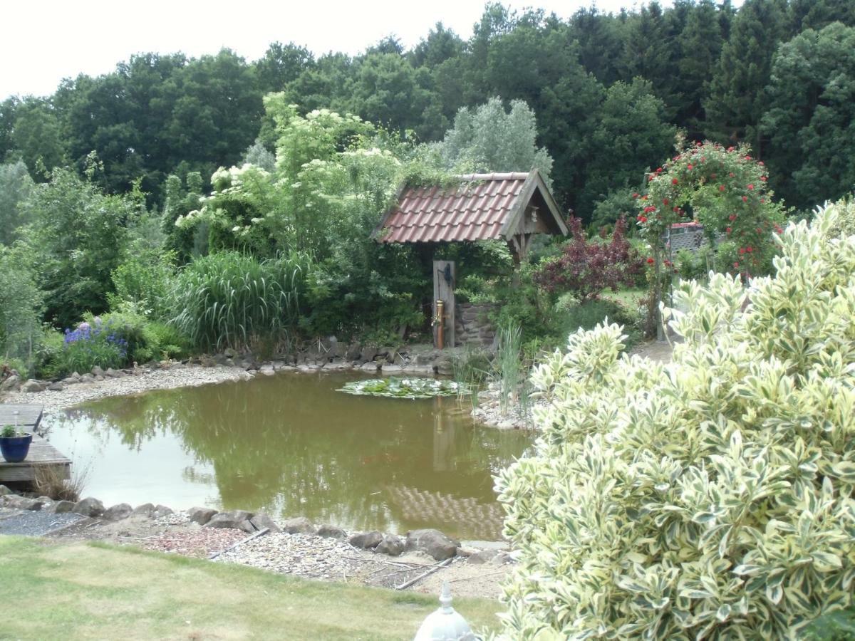 Fewo Emsland Emsbüren Buitenkant foto