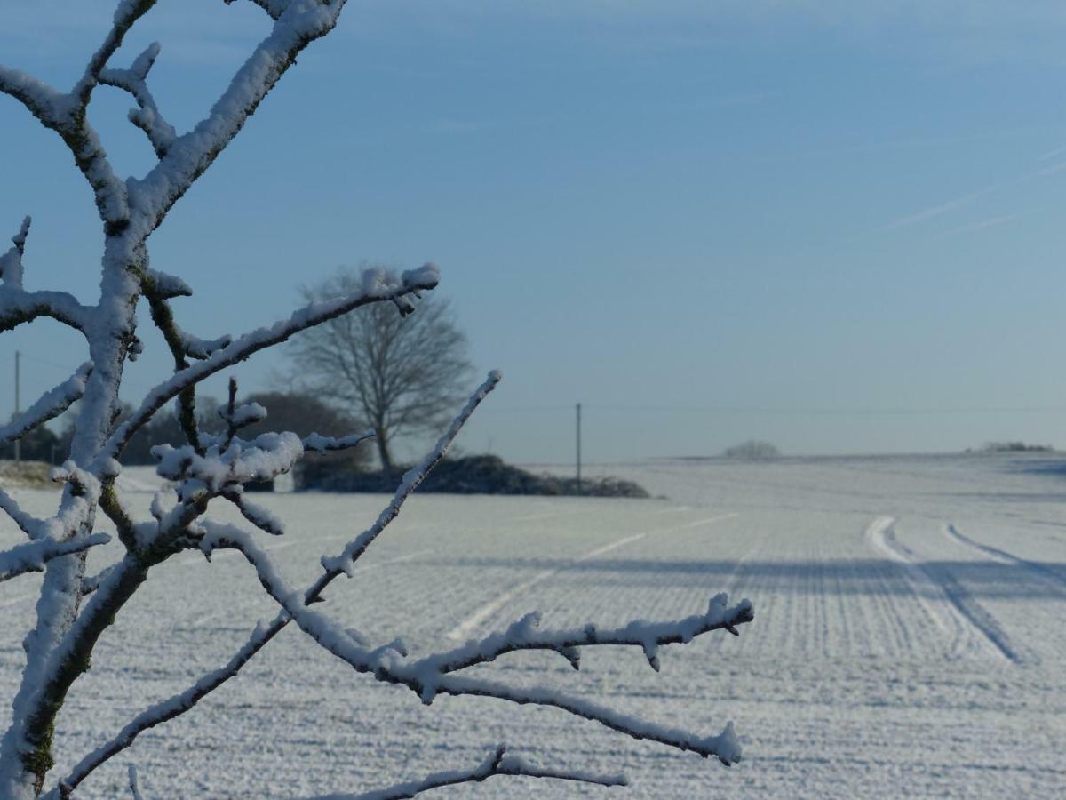 Fewo Emsland Emsbüren Buitenkant foto